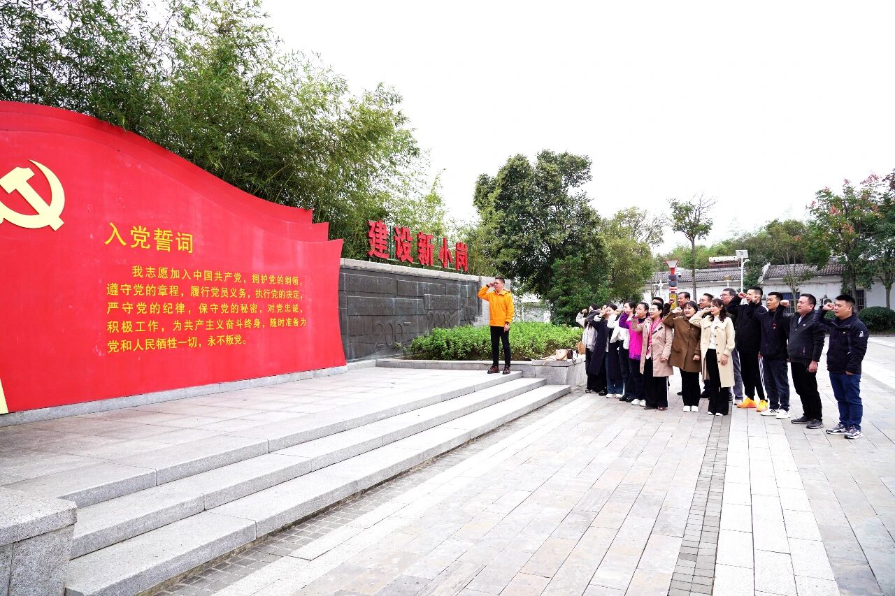 &ldquo;学小岗敢为人先，护健康华安领航&rdquo;华安脑科医院主题党日活动